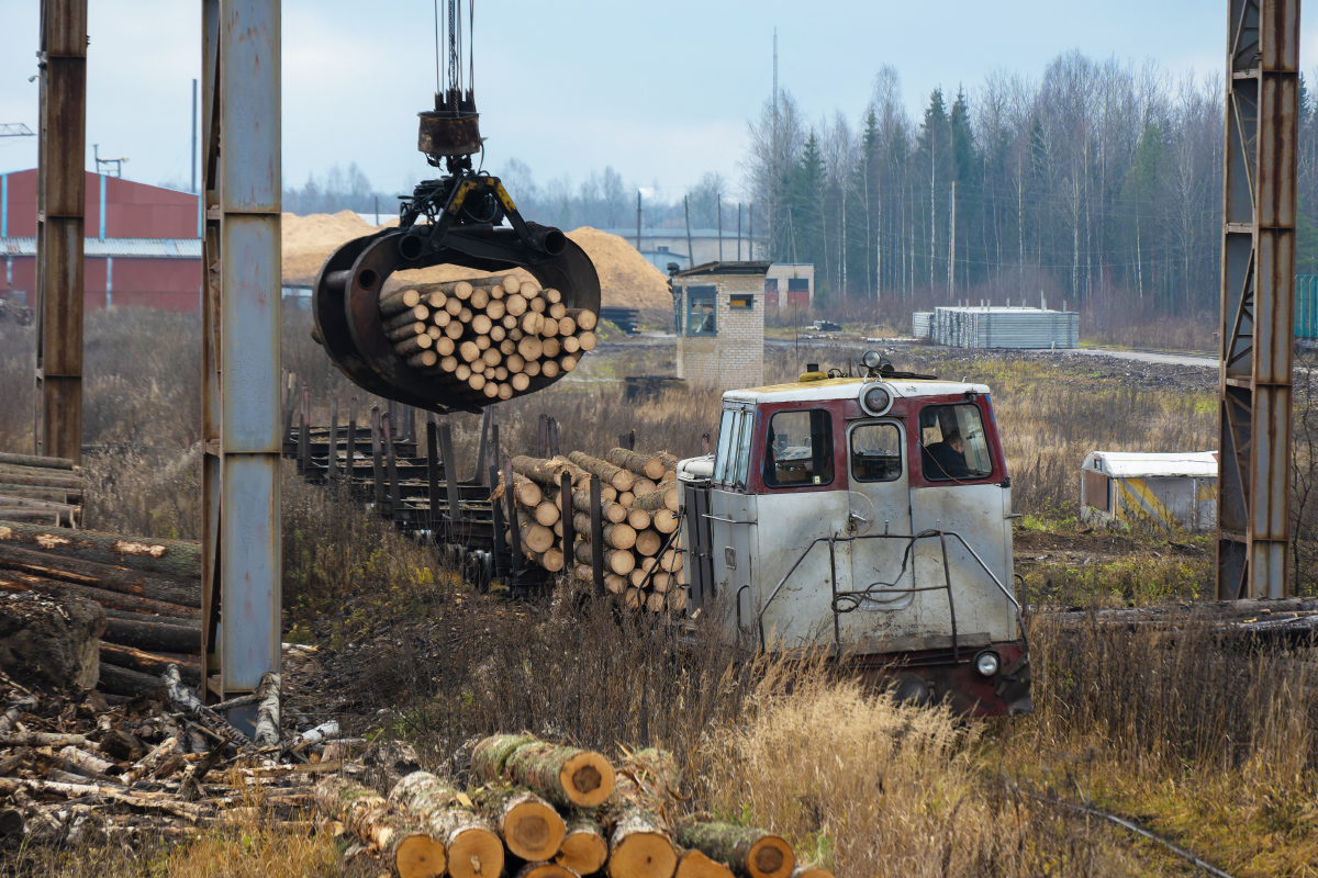 Кран-лесопогрузчик разгружает бревна на нижнем складе, Кобринская УЖД, Кировская область, 26.10.2025. A Log crane unloading Logs at a Nizhniy Log Yard, Kobrinskaya narrow-gauge railway, Kirov Oblast, 26.10.2025. Photo: Aleksey Kalinin. #Russia #TU6 #ужд #узкоколейка #crane #Log
