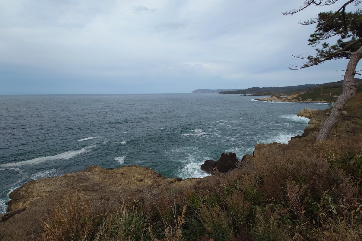 tomox_c's tweet image. ヤセの断崖を訪問