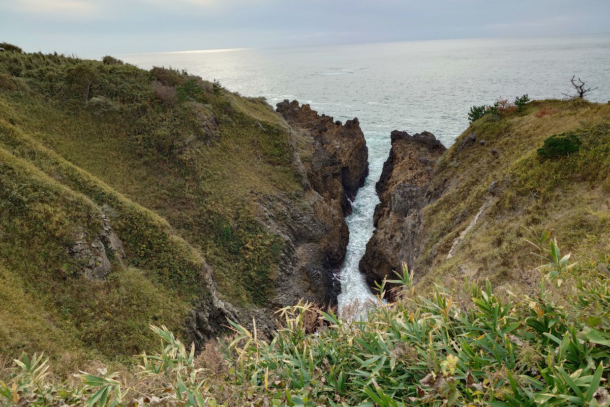 tomox_c's tweet image. ヤセの断崖を訪問