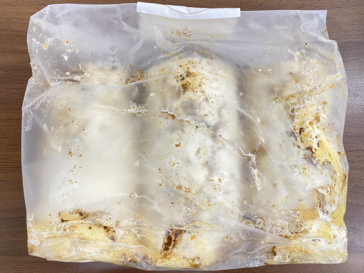 カブト・クワガタ専門店 BEETLE GARDEN on X