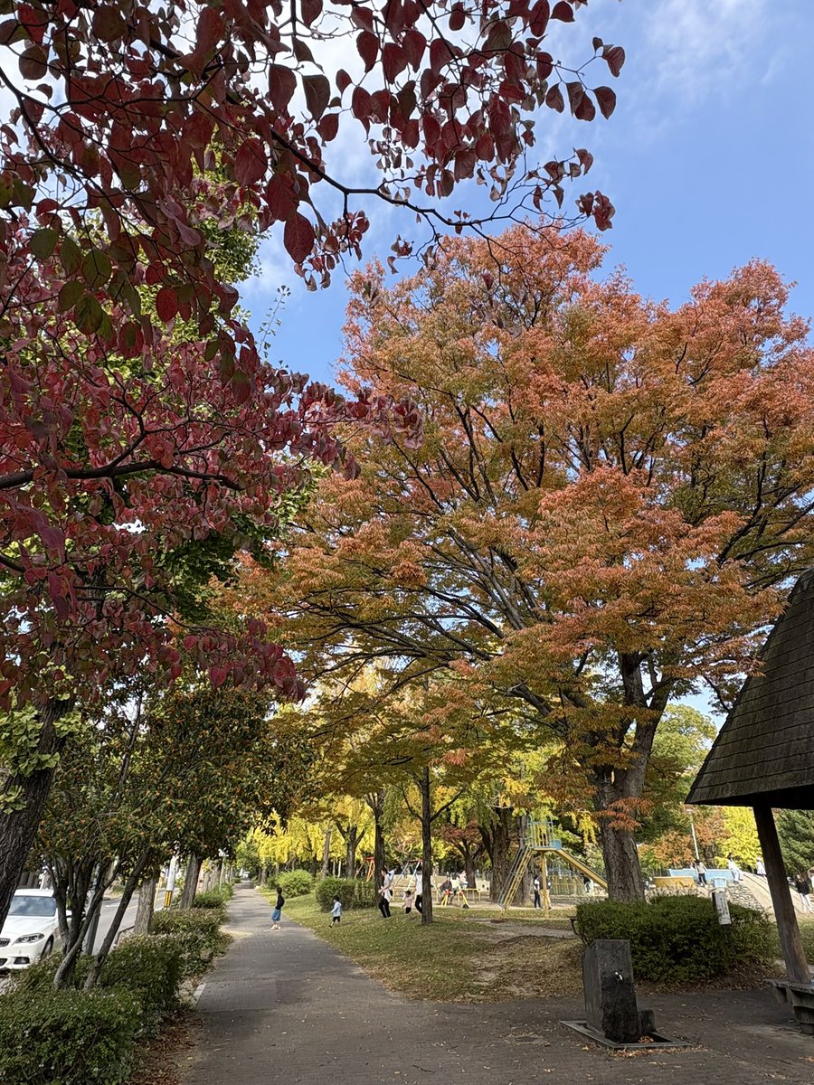 トコトコトコページ GxJSVs0a0AAqH_b.jpg