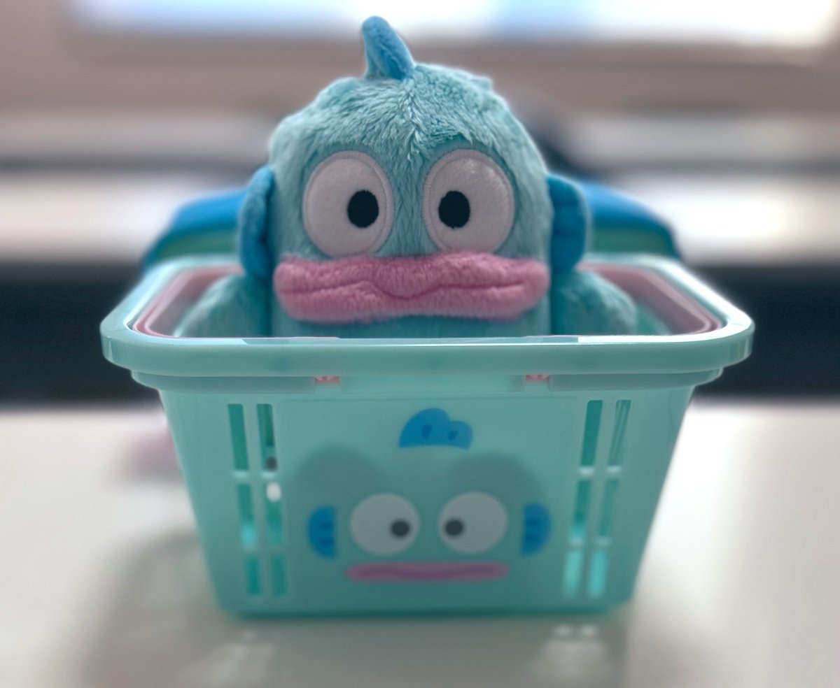 Nacchi (@Nacchi020st) / Posts / X