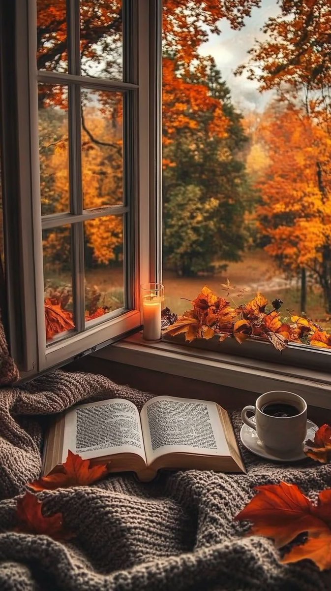 feeling_edu's tweet photo. أقوى ما يمكنك فعله هو ألا تفعل شيئًا. لا غضب، لا عتاب، لا لوم. فقط قلب مغلق وطريق مختلف. هذا الهدوء يقتلهم أكثر من ألف كلمة غاضبة.

#قوة_الروح https://t.co/ub3NYQyHPe