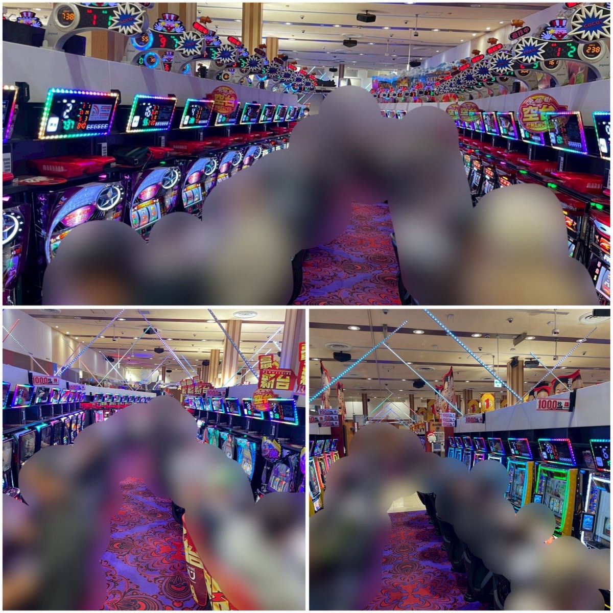 さんぽ調査隊 on X