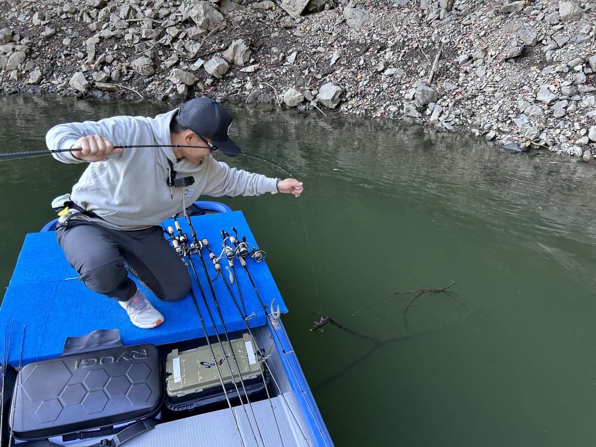 昨日の津久井湖は2人とも同じエリアに同じ釣りで

前回に引き続きリョーさんはイイ体型ばかり釣る

今回も超フルフッキングなリョーさんでした…
#津久井湖