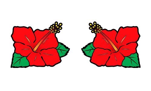 フォロワー8787突破🌺🌺スクショはできず涙 