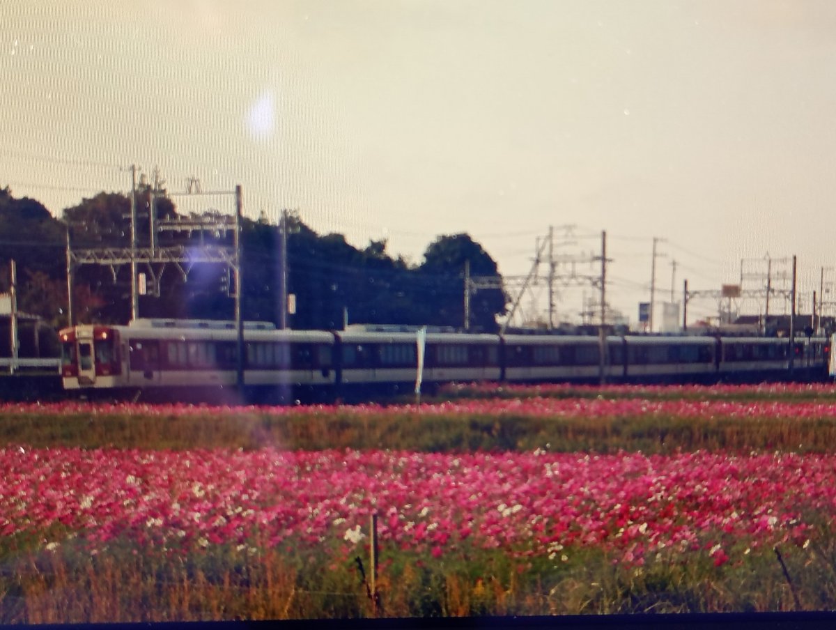 と近(⌒ ͜ ⌒) on X