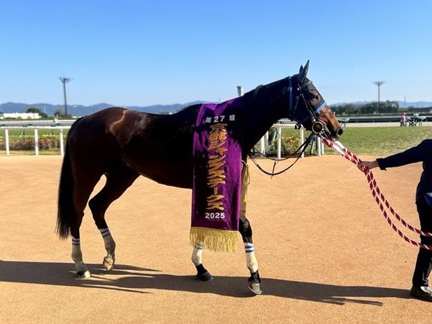 サトノダイヤモンド産駒応援アカウント (@SDiamondJr) / Posts / X