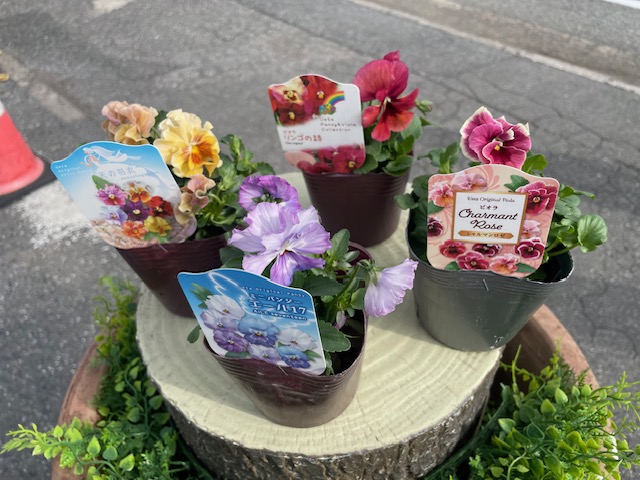 ジョイフル本田 ガーデンセンター on X