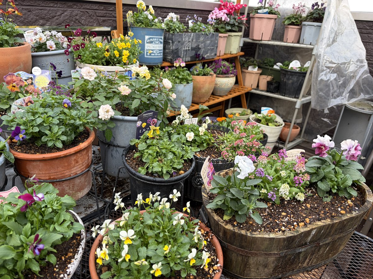 fumi fumiさん専用 ふみ。ふみ on X