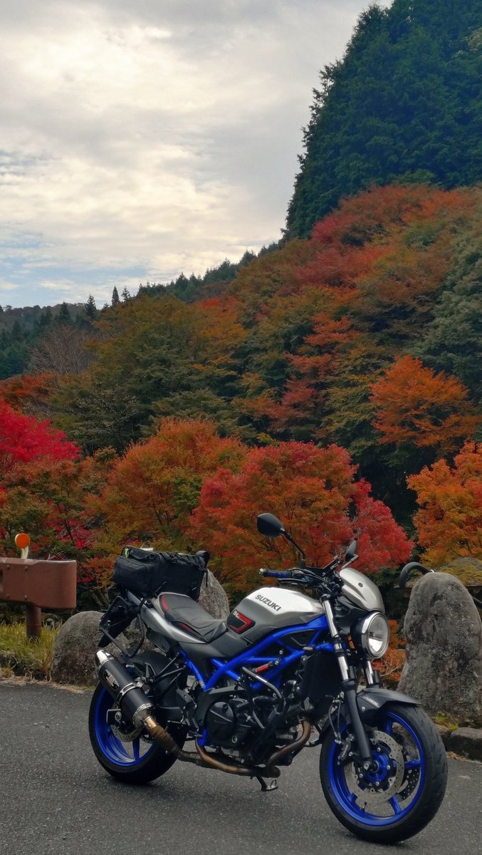ただいま帰りました🐸
だいぶ紅葉も進んできましたね。
日が陰ると寒いくらいなのでネックウォーマー着けてて正解でした。