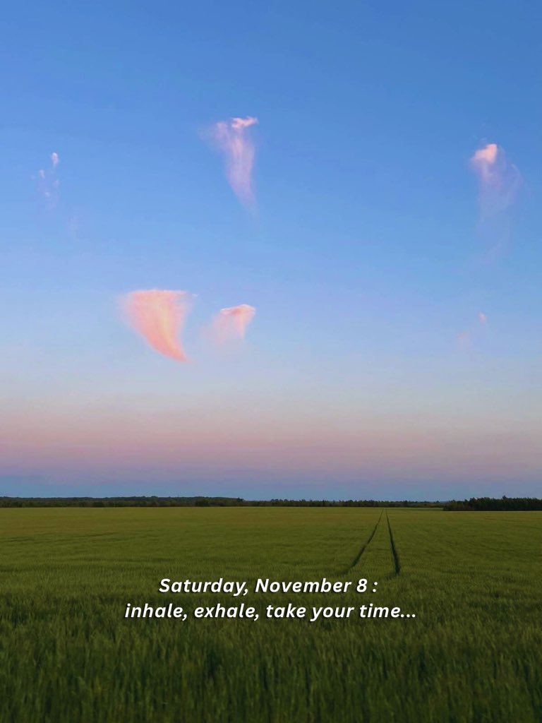 malicknoir's tweet image. inhale, exhale. enjoy your favorite little things.