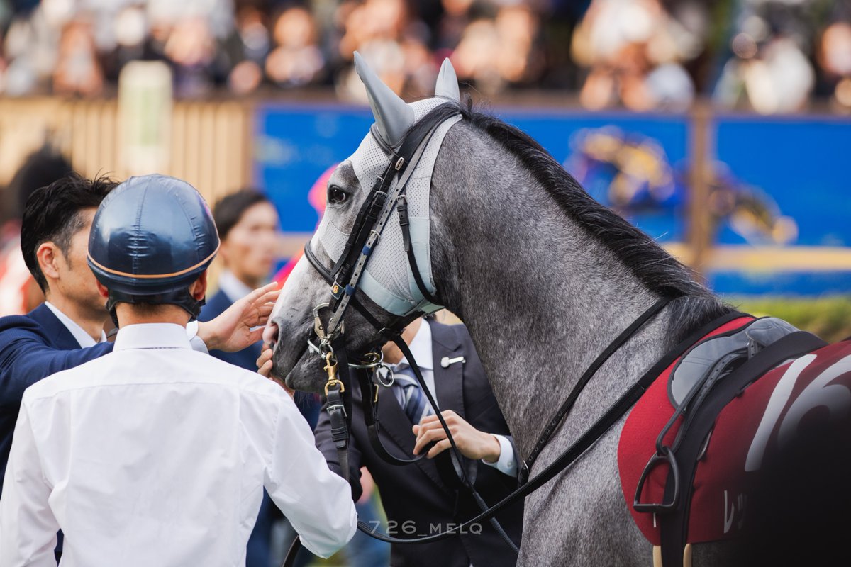 ★R★様 新車】2026年新型「ZX-25RR」SEと共に10/1発売！105万2700円で足回り