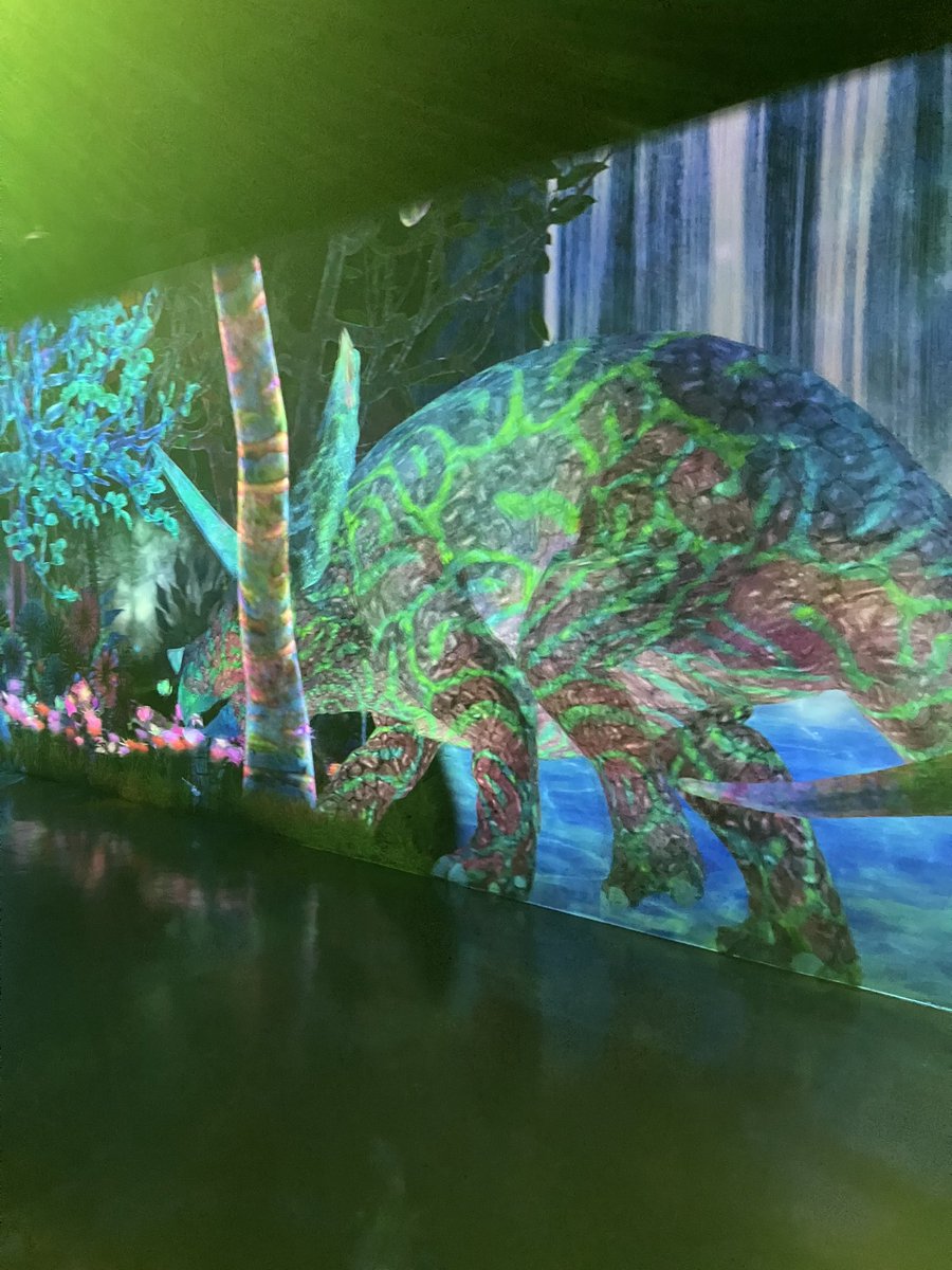 確認(〃艸〃)୨୧⑅*. XINYIDA Hot Selling High Quality 5WK96754B 4326867 4326867RX