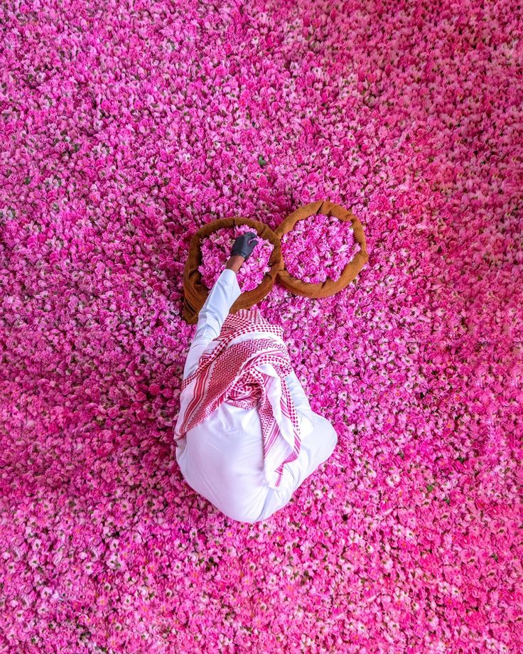 Taif Rose 🇸🇦
