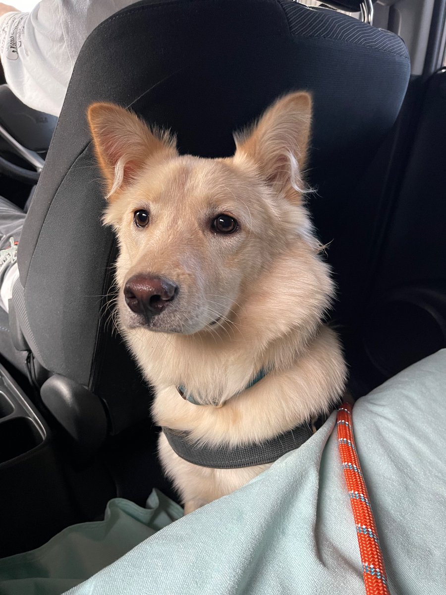 宮下サトシ (@toys_pottery) / Posts / X