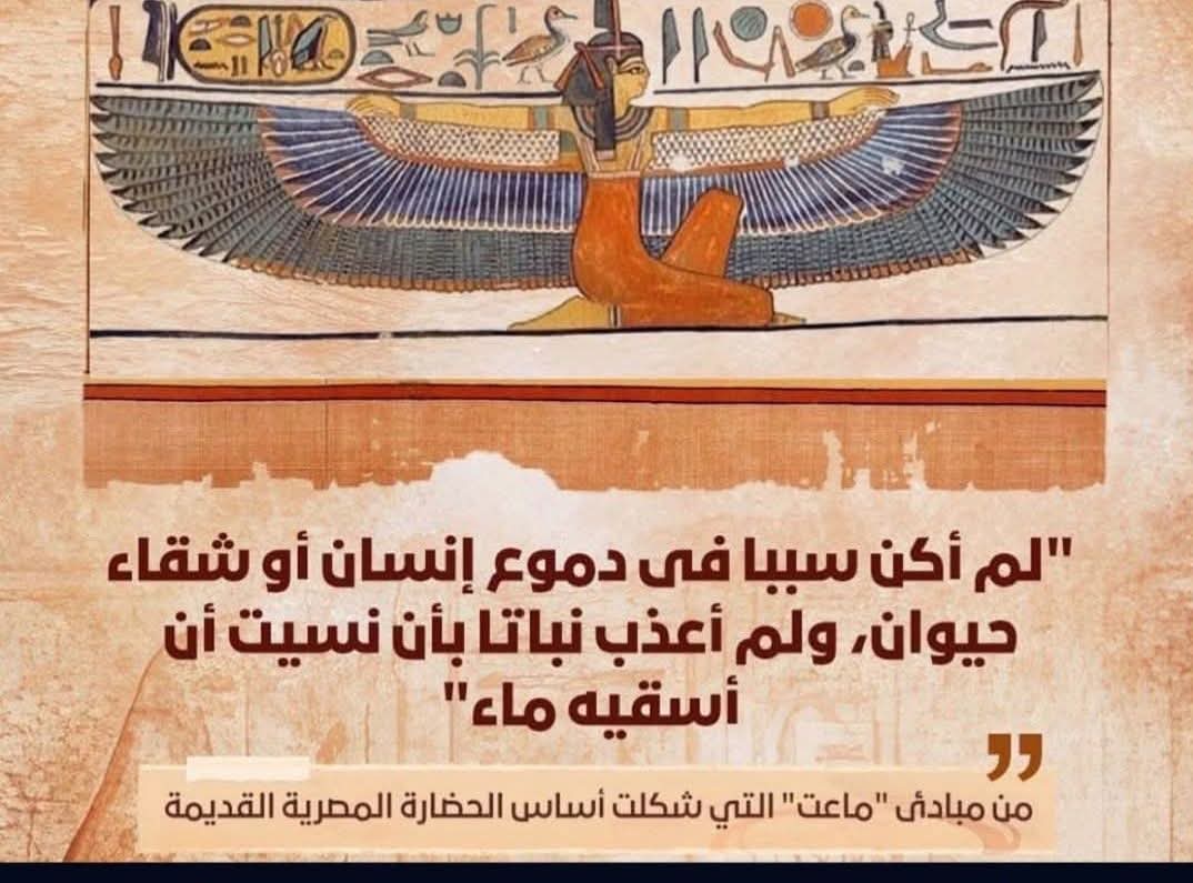 QegSee61229's tweet image. فجر الضمير