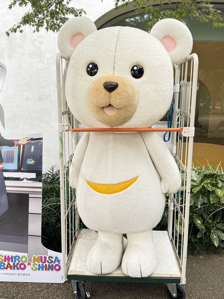 まっちゃん on X