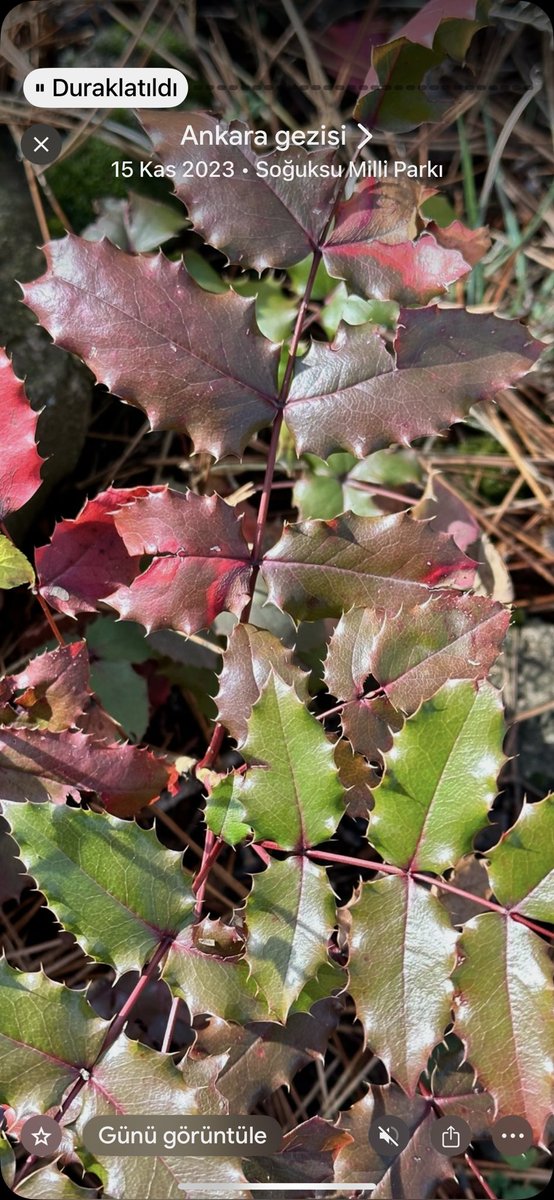 Her insanın anlama kapasitesi ve gerçeği kabul etme erdemi farklıdır; bu yüzden aynı söz herkeste aynı etkiyi yaratmaz. Vicdanlı aydın insanın yapması gereken, doğru bildiği fikirleri içtenlikle paylaşmaktır; sonucu ise karşımızdakinin vicdanına bırakmaktır.