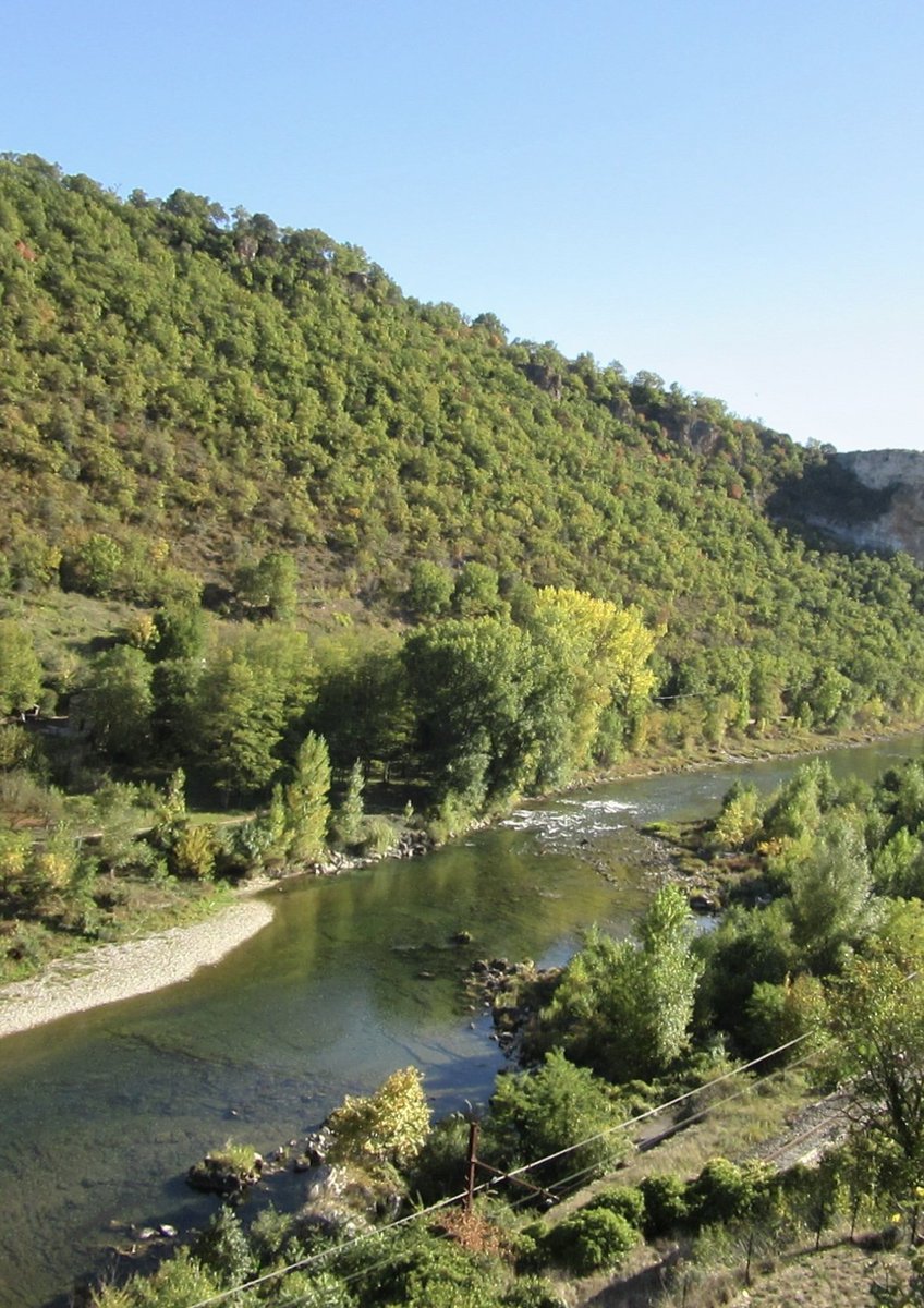 We care, respect and love the rivers. Us and the administrations. 🌿🌳