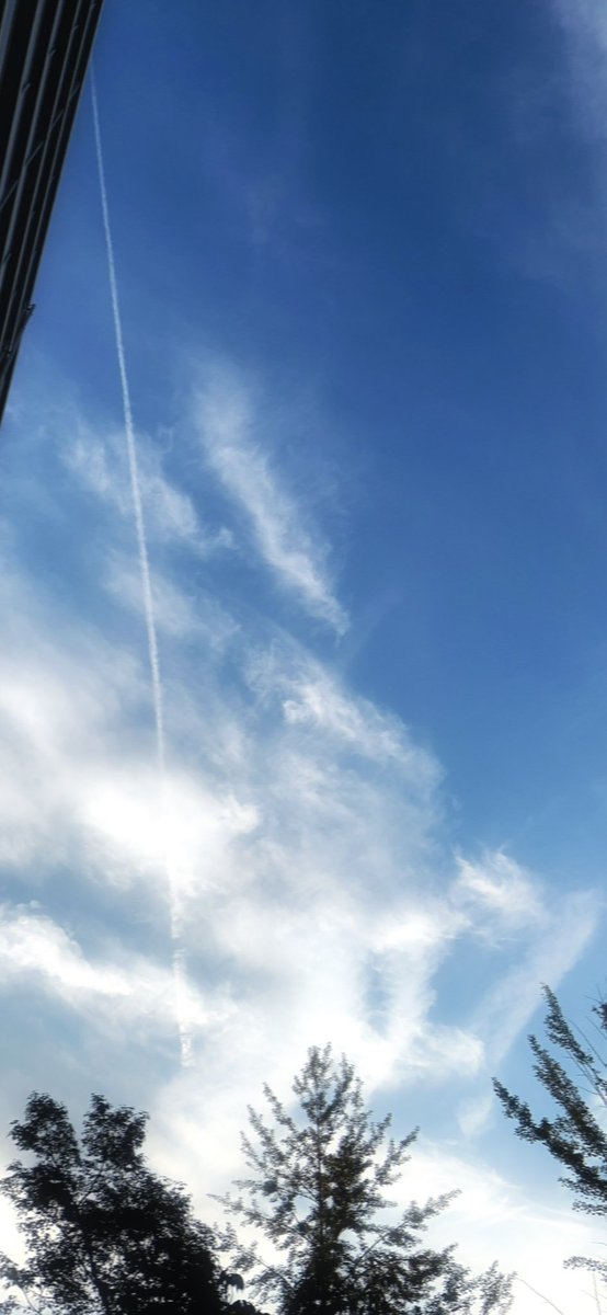 飛行機雲や