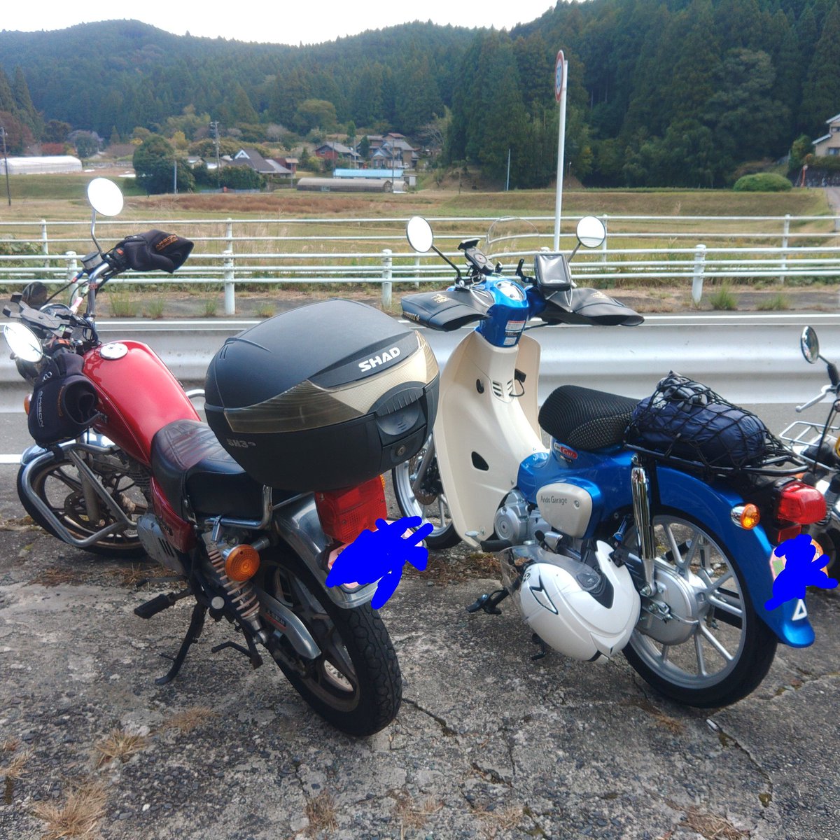 とっちん とっちん@青カブ🗺️。 (@1973tocchin) / Posts / X