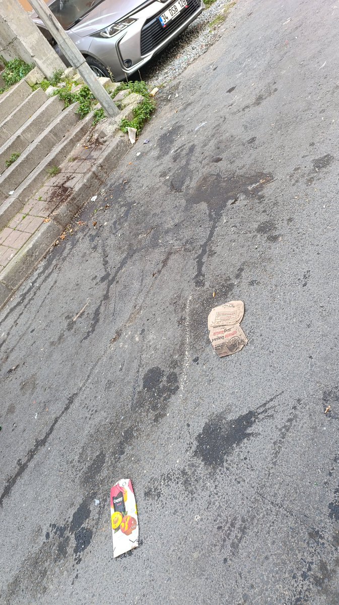 Her sabah bu manzaraya uyanmak... Teşekkür ederiz <a href="/KagithaneBelTR/">Kağıthane Belediyesi</a> <a href="/MevlutOztekin/">Mevlüt Öztekin</a> harika belediyecilik