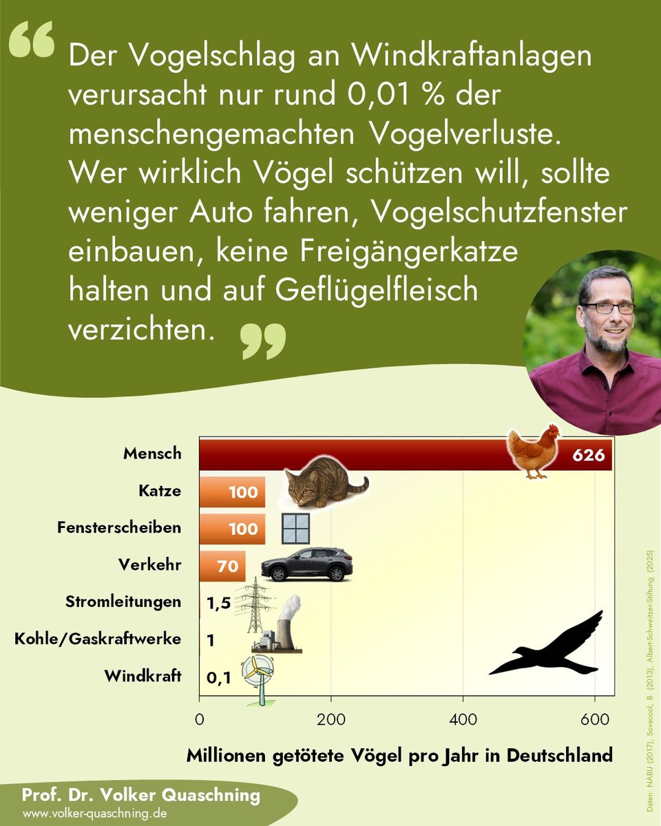 VQuaschning's tweet image. Der Vogelschlag ist oft ein Argument gegen die #Windkraft. Dabei sind dort #Vögel durch strenge Umweltauflagen gut geschützt.
Völlig anders ist es im Autoverkehr, bei Freigänger-#Katzen, Fensterscheiben oder der Geflügelhaltung. Wo sind da eigentlich die Vogelschützer? 🤔