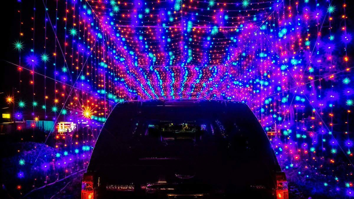 Budget Travel tweet media