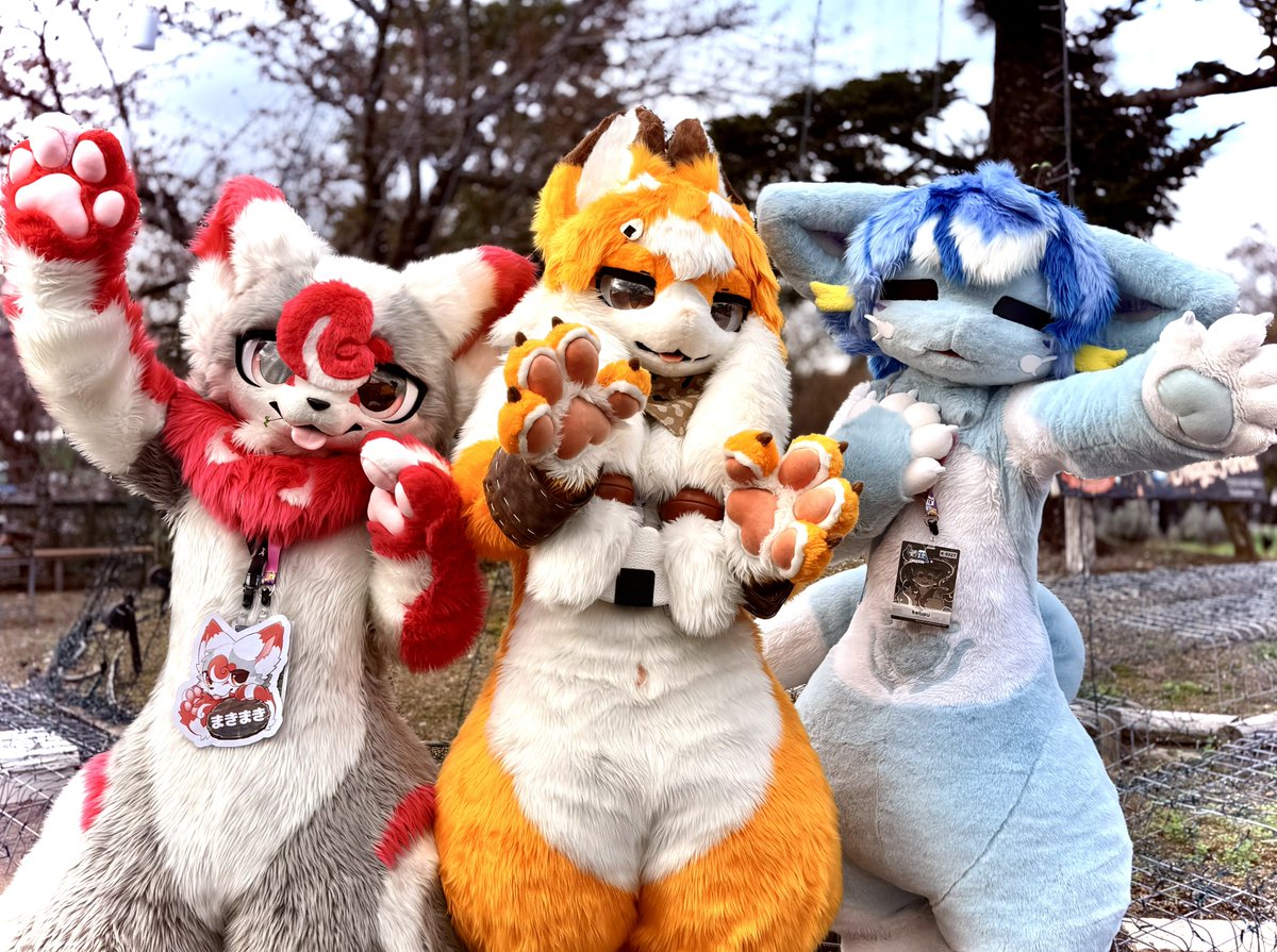 🚥
🐾<a href="/kelupu/">ケルプ🐟</a> 
🐾<a href="/mofuaki_/">もふあき</a>
🐾<a href="/KANAlia321/">🦿かなﾘぁ🦿</a>

#kemocon #kamecon18