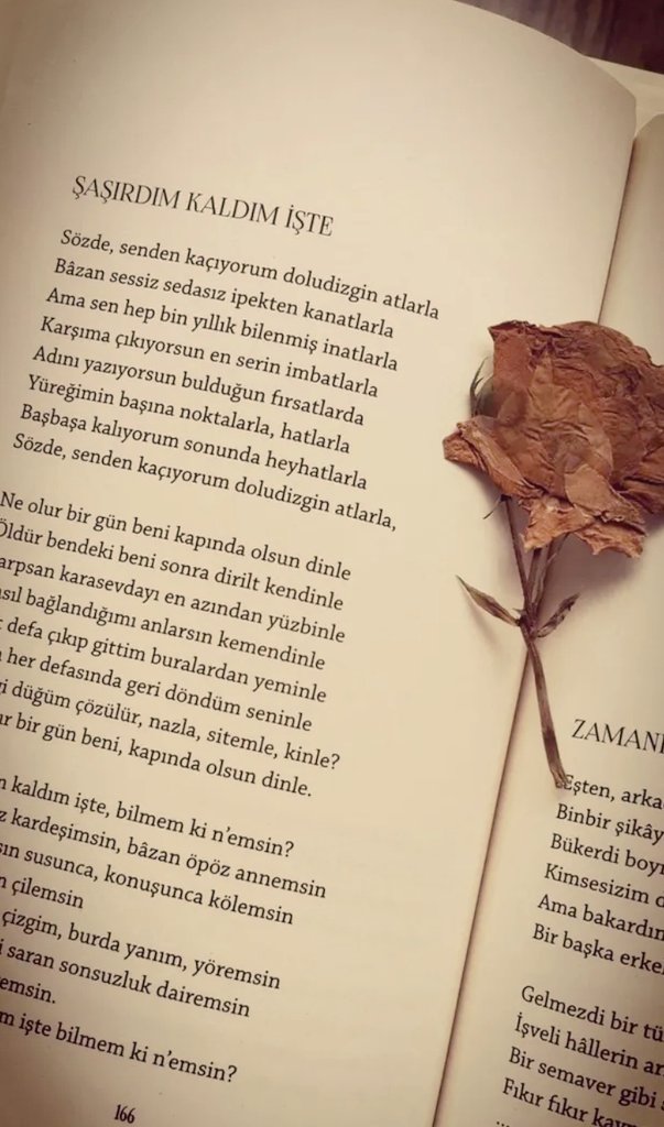 Öldür bendeki beni 
Sonra dirilt kendinle.
#cumartesi