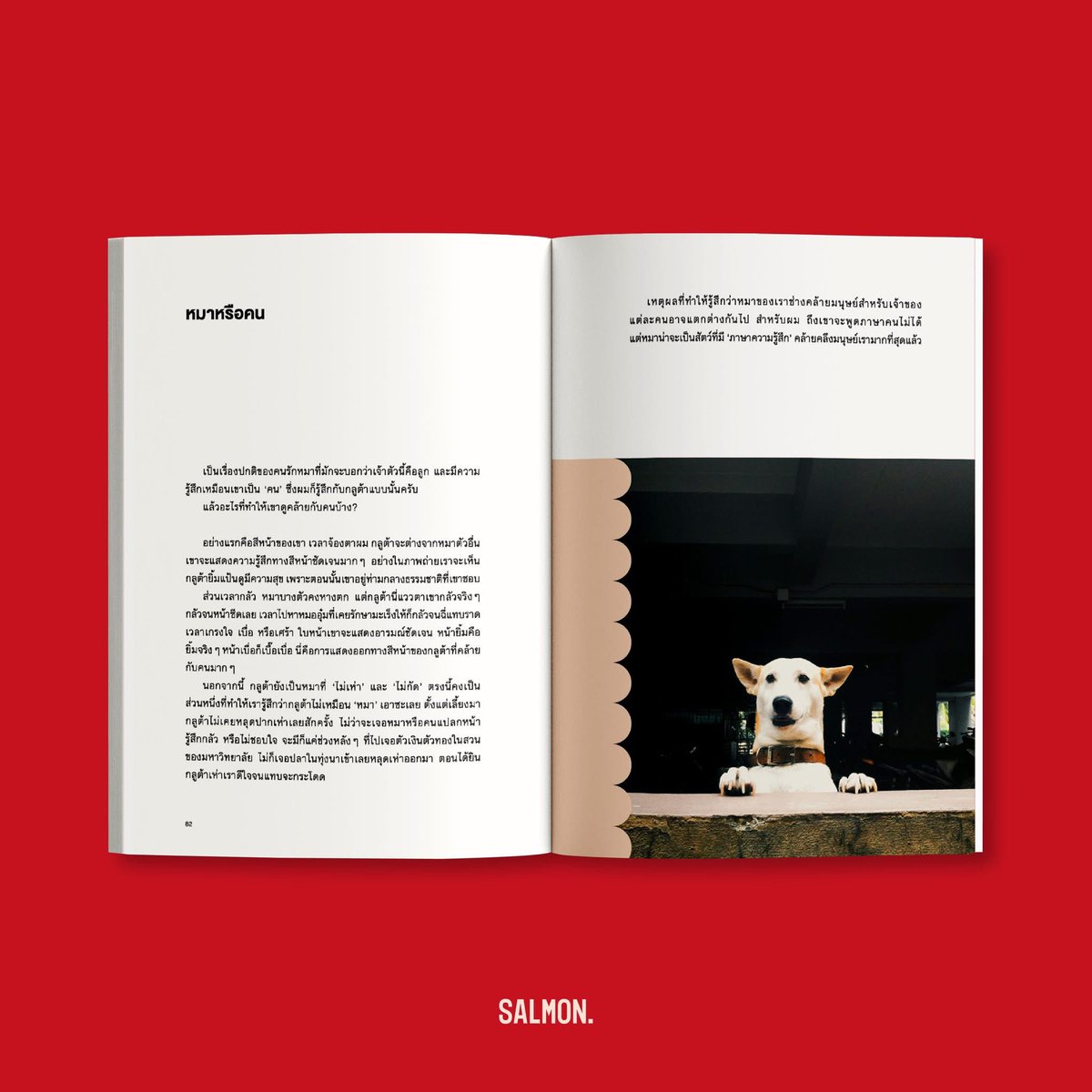 SALMONBOOKS 🐟🍣 tweet media