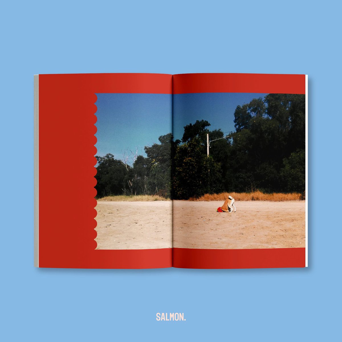 ‘GLUTA STORY เรื่องเล่าหลังฝนซาของหมาหลงทาง’ คือหนังสือบันทึกเรื่องราวของ ‘กลูต้า’ โดย ‘ยอร์ช—สรศาสตร์ วิเศษสินธุ์’ ตั้งแต่วันแรกที่เขาได้พบเจ้าหมาอารมณ์ดีที่ใต้หอสมัยวิทยาลัย ไปจนถึงวันที่ตัดสินใจรับเลี้ยง วันที่มีเพื่อนใหม่ชื่อ ‘กอลลั่ม’