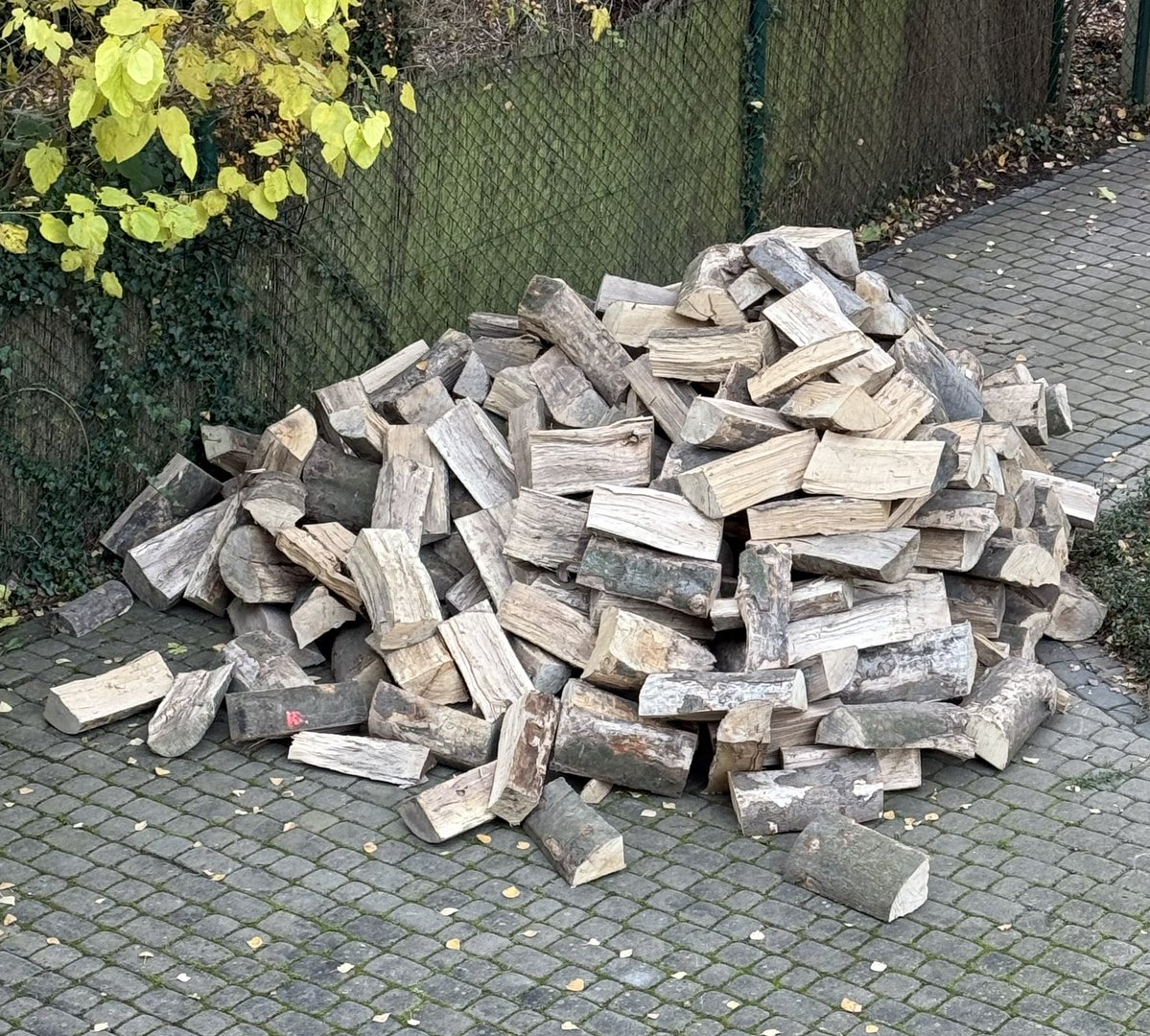 Fajne są te ciepłe, jesienne poranki. Ale robota czeka…