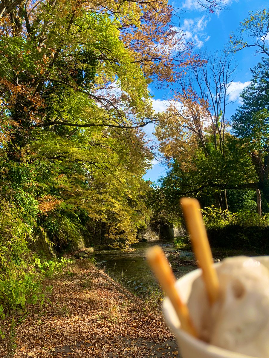DoUngol100age's tweet photo. #IBATABI 
茨城県常陸太田市
『里美かかし祭』遊びに行ってきた〜‼️
「かかし」という名の創作造形がもりだくさ〜ん♪

そんで秋めいた茨城ドライブも
全力いっぱい楽しんじったっぺよ〜🍁🚕 https://t.co/pgNw6PSVKc