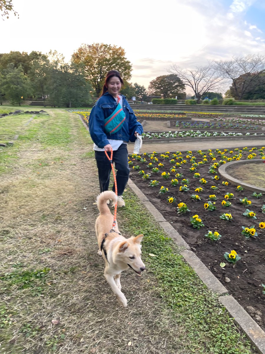 宮下サトシ (@toys_pottery) / Posts / X