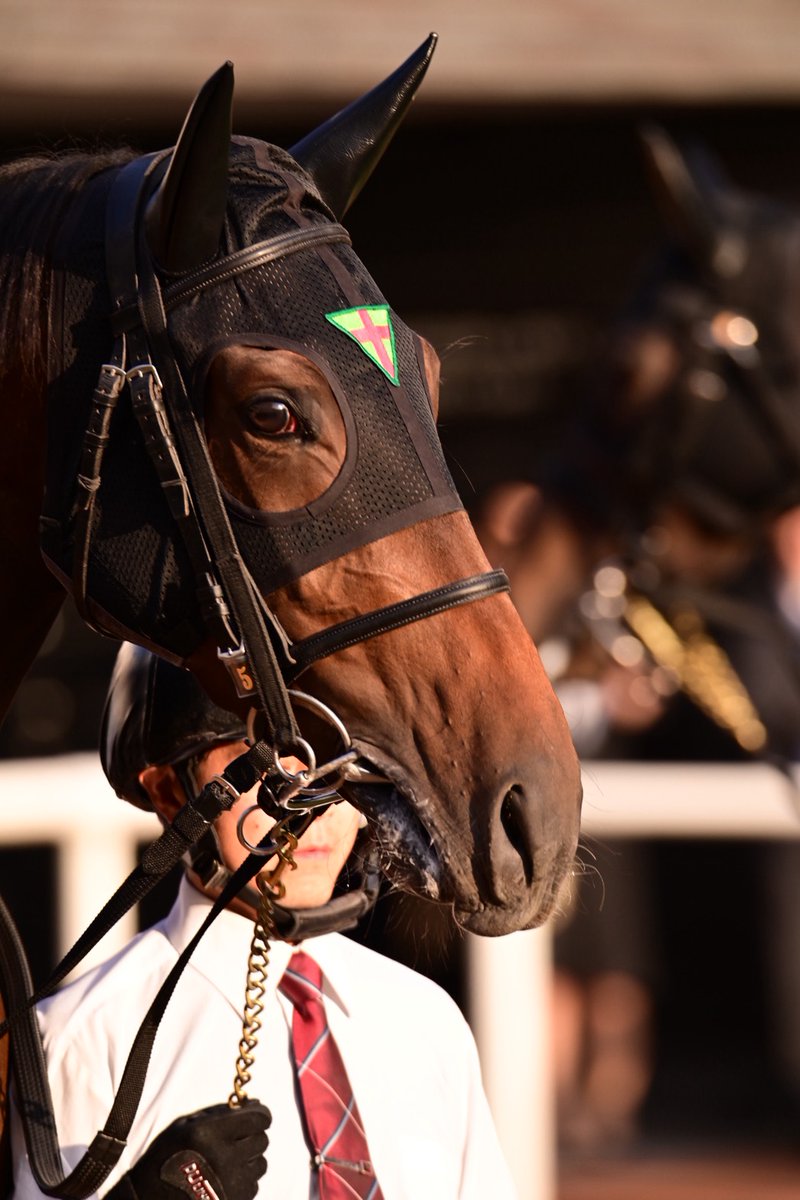 スペシャルウィークの血族を応援する会 on X