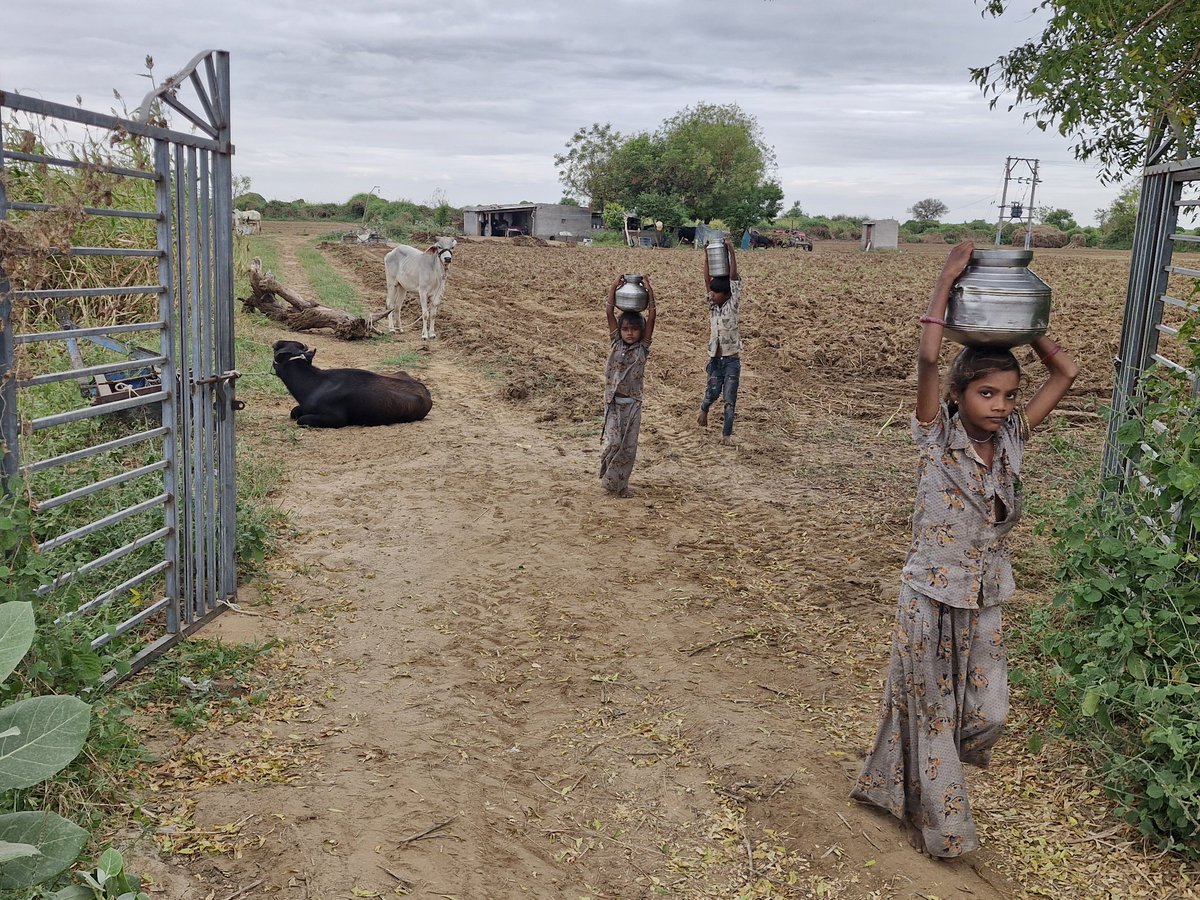 ફિલ્ડ વર્ક દરમિયાન ખેતર વિસ્તાર માં મળેલી દીકરીઓ ને મેં પૂછ્યું કે ભણતા કેમ નથી તો કે છે મમ્મી પાપા ખેતરમાં મજૂરી કરે તો એમને ખાવા નું પાણી કોણ આપે એટલે ઘરે રેવું પડે. આમને ક્યાં મોટીવેશન જરૂર છે. બાપ ના સંઘર્ષ કાફી છે.