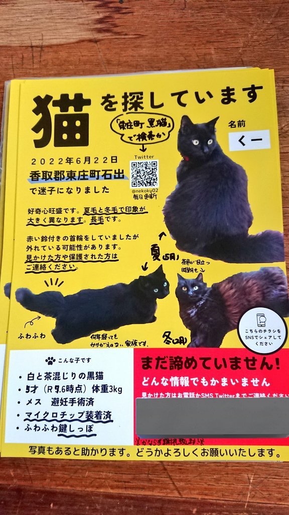 nekoku02's tweet image. お尻を向けて座ったり、お腹を見せてくれたり、手を舐めてくれたり。くーはわたしを信頼してくれている子だと写真を見返すと思います

何年も経ってしまいましたがわたしも深く愛しています

くーの傍にいる方からのご連絡をずっとお待ちしております
#東庄町 #香取市 #銚子市 #迷い猫 #迷子猫 #千葉県