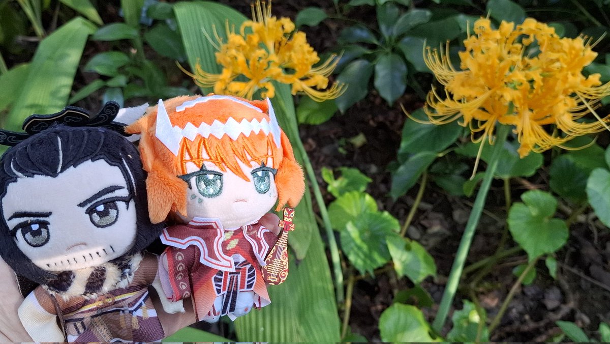 肉質画　【彼岸花】　金 金の彼岸花イラスト - No: 23211774｜無料イラスト・フリー素材なら