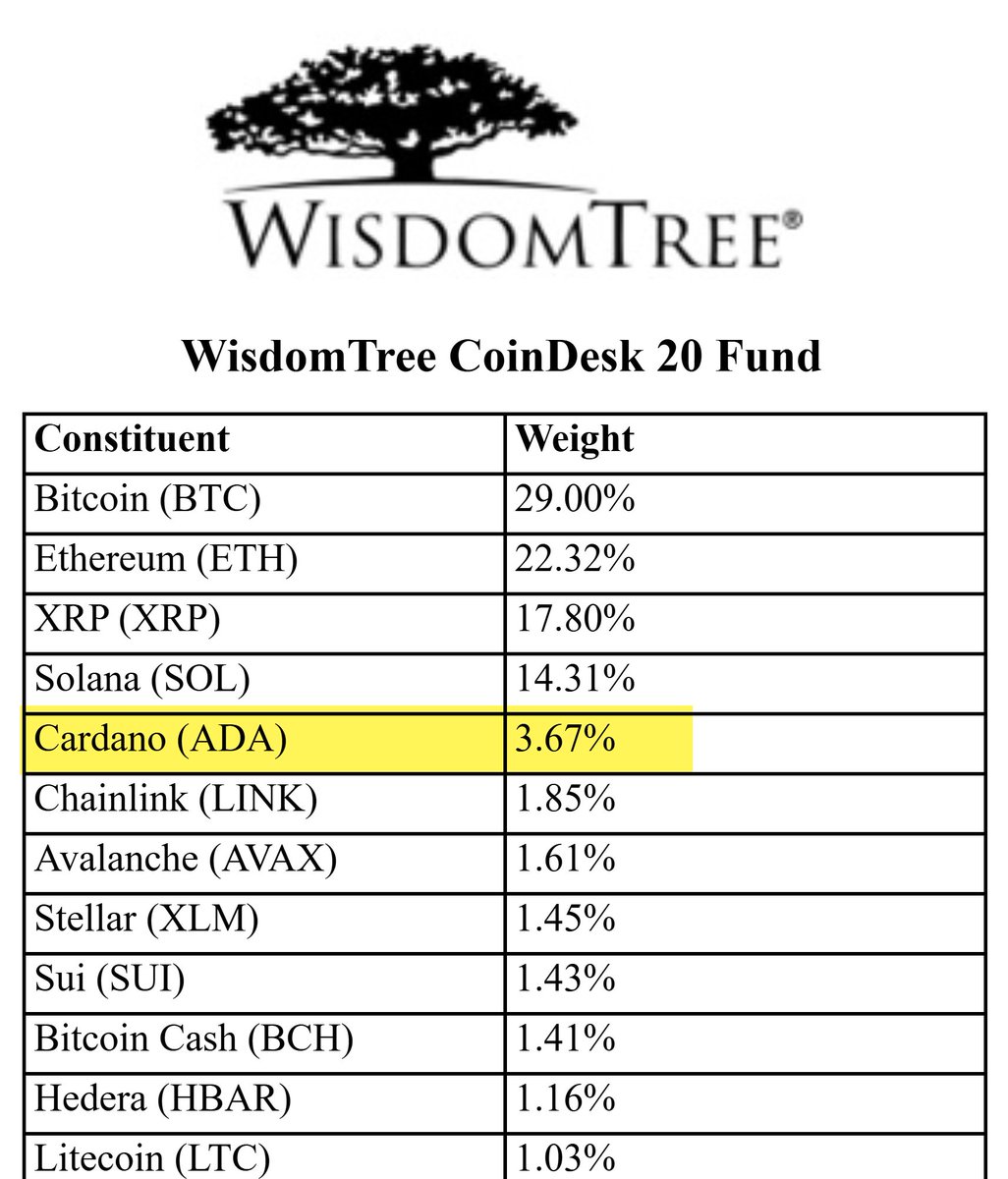 🚨 UPDATE:

$ADA in WisdomTree crypto index ETF.

Bullish for Cardano 💥