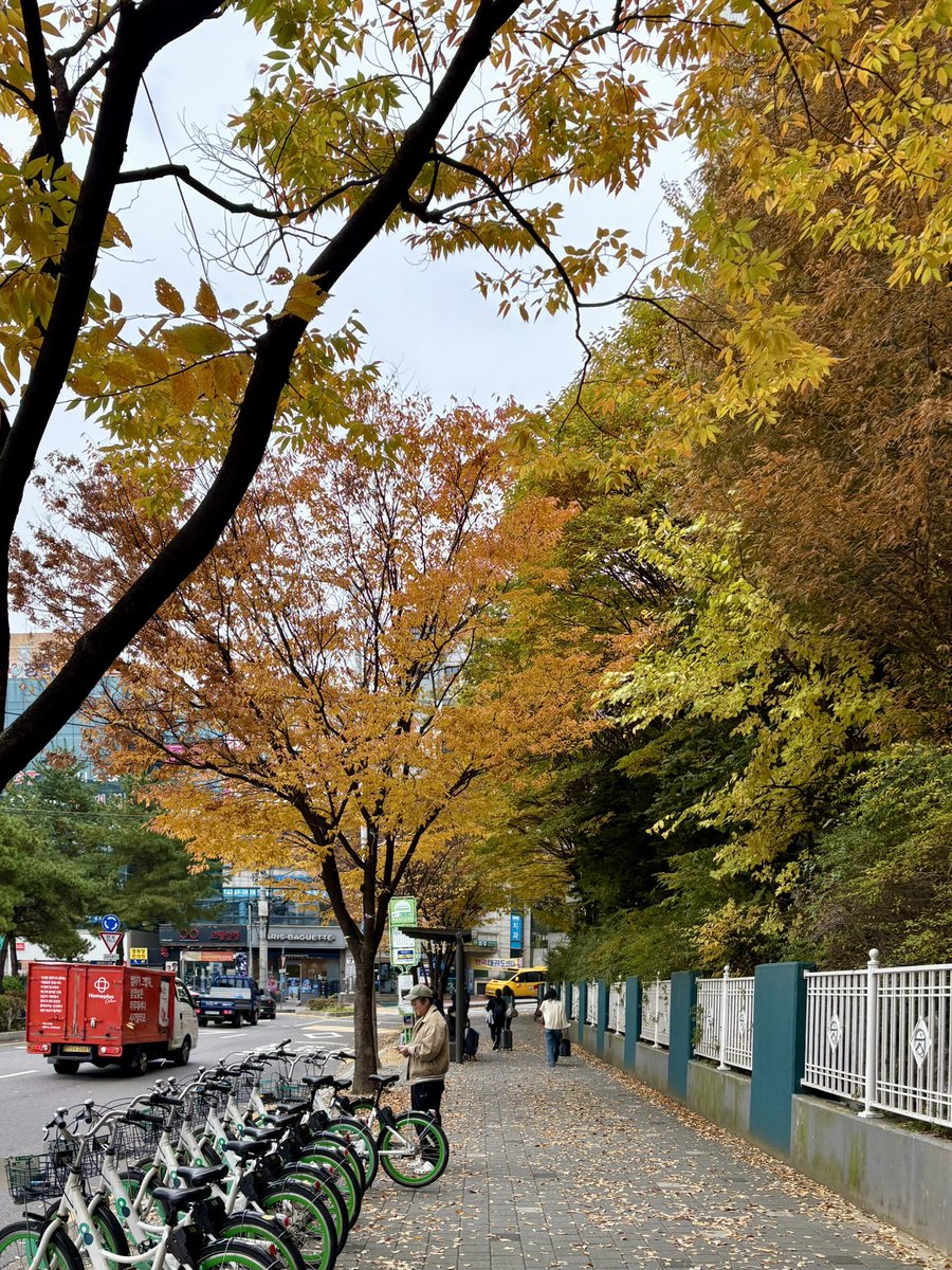 zhiyuan_h's tweet image. 집 앞은 가을 쇼핑몰은 겨울