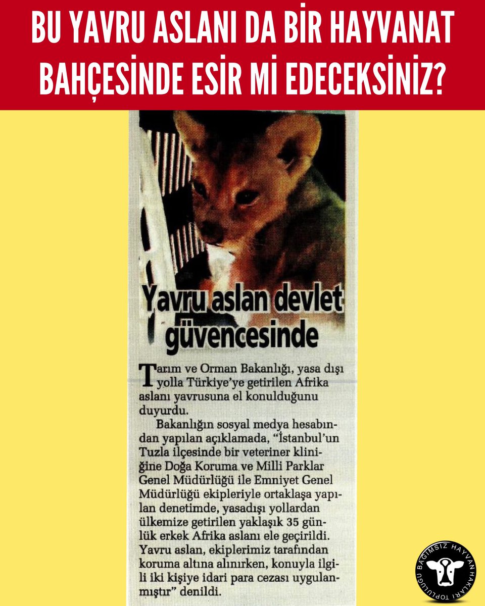 Bu yavru aslanı da bir hayvanat bahçesinde esir mi edeceksiniz? <a href="/milliparklar/">Milli Parklar</a> <a href="/TCTarim/">T.C. Tarım ve Orman Bakanlığı</a> <a href="/ibrahimyumakli/">İbrahim Yumaklı</a> <a href="/DkmpIstanbul/">İstanbul DKMP</a>