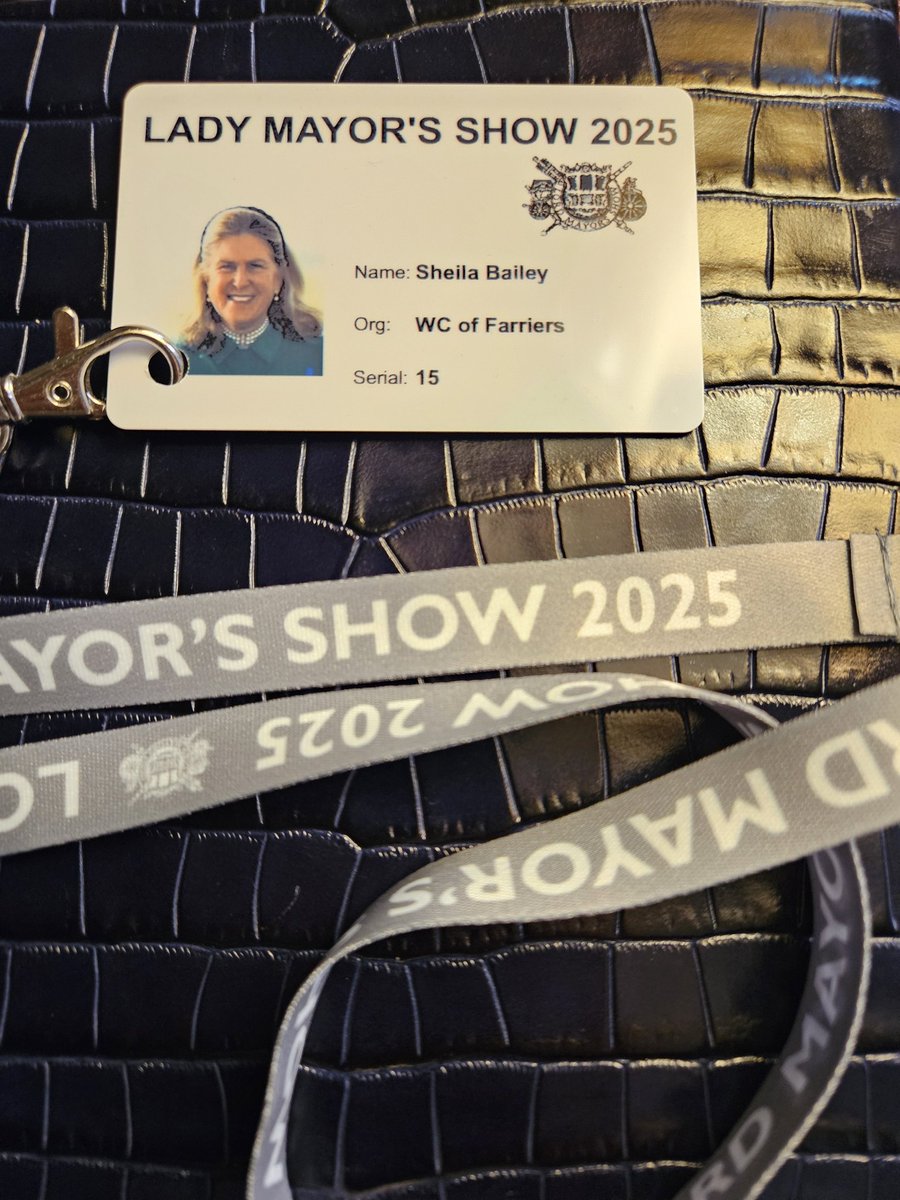An early start today for #TheLadyMayorsShow in #CityofLondon   You can watch this historic event on BBC at 1045.