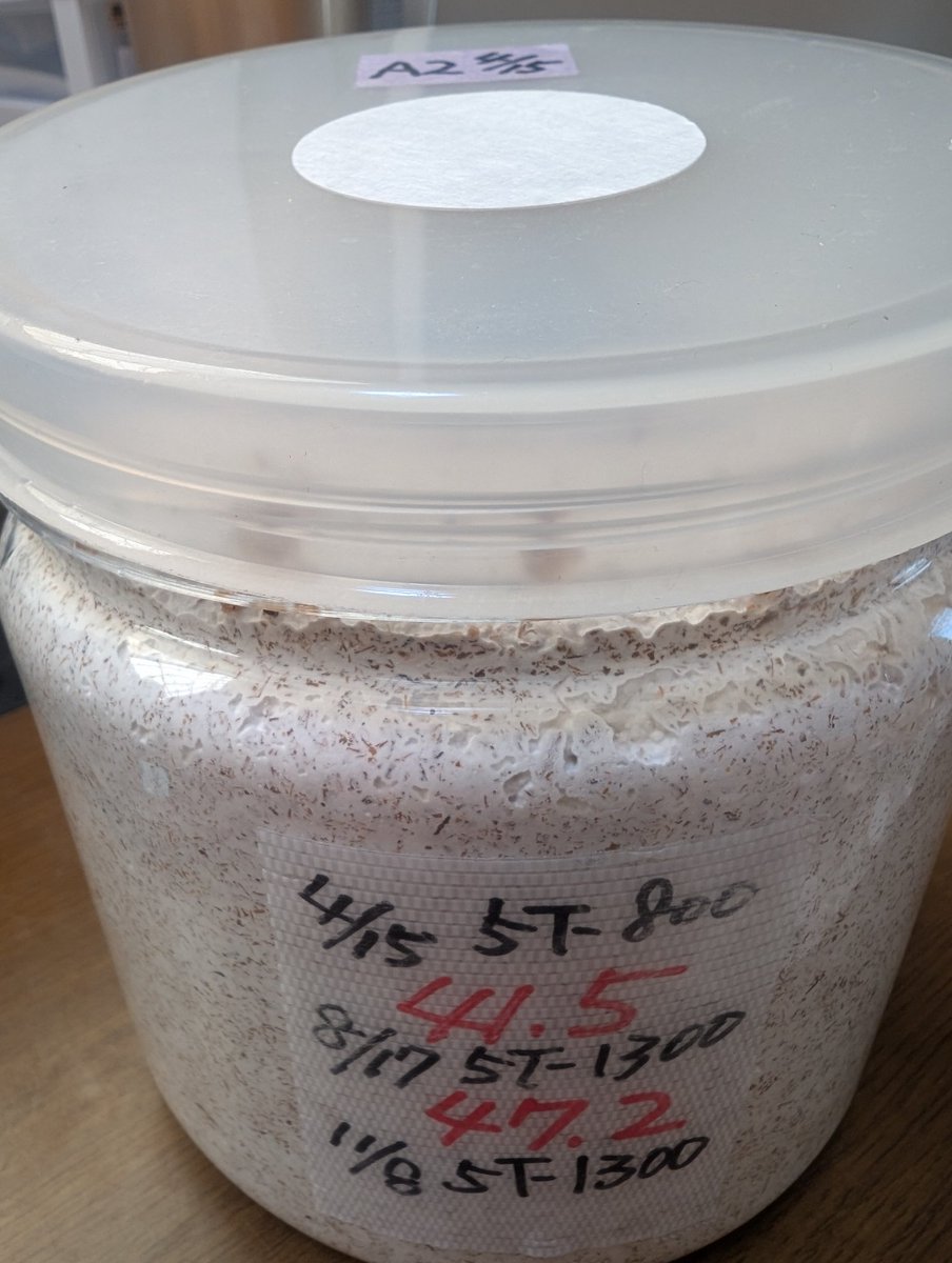 3525 (@QcpF7YLQPRjwD49) / Posts / X