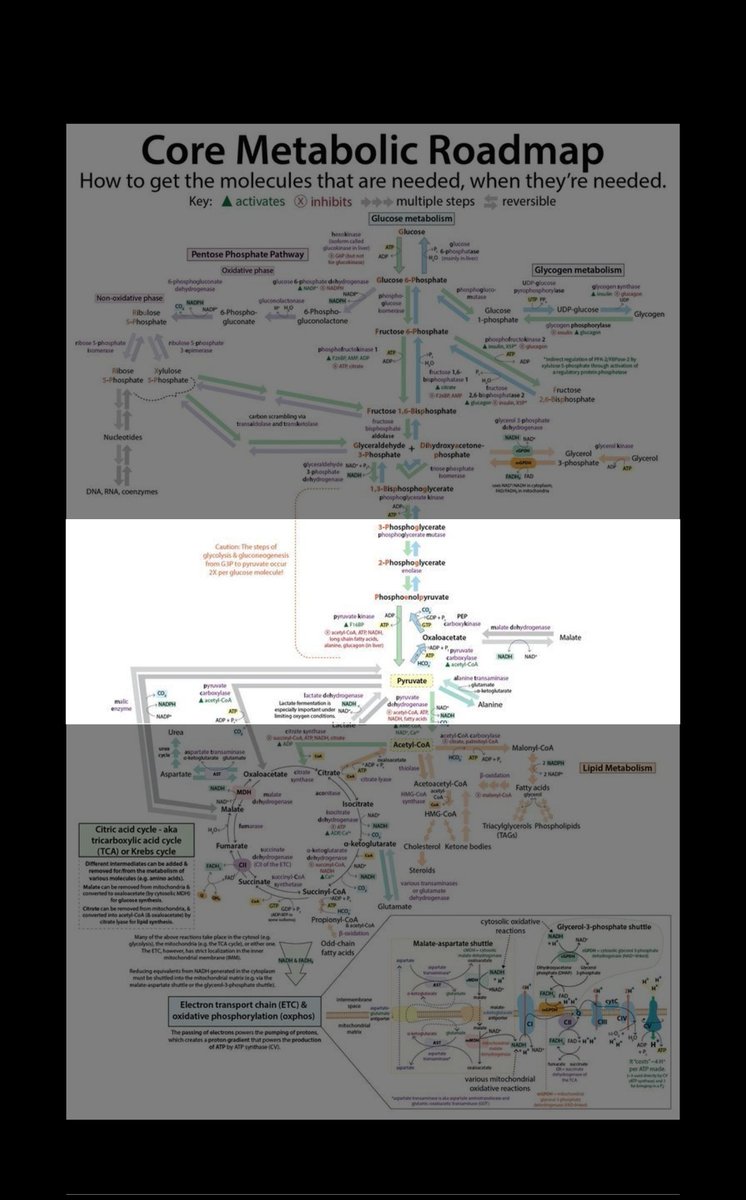the_grafixmedic's tweet photo. How do I fit this into my head (Not header) 😭 https://t.co/BWsB4GKnYN