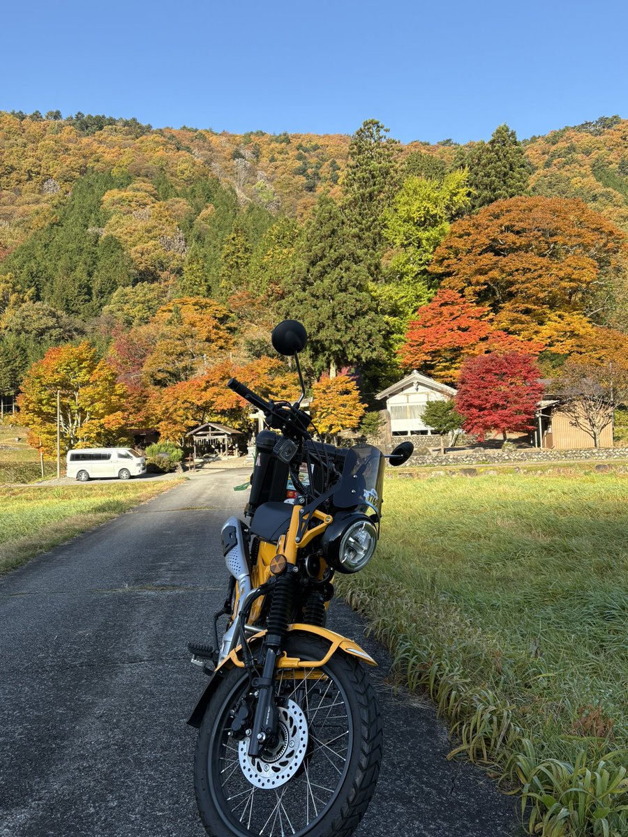TNaka075's tweet photo. せせらぎ街道の紅葉が見頃ということで、日中に混雑する前に早朝から走りました💨
素晴らしい景色🍁の中、気持ち良く走れましたが、一番標高の高い場所で気温が１度で寒かった🥶
#バイク乗りと繋がりたい  #カブ主 https://t.co/1ujr25kwrQ