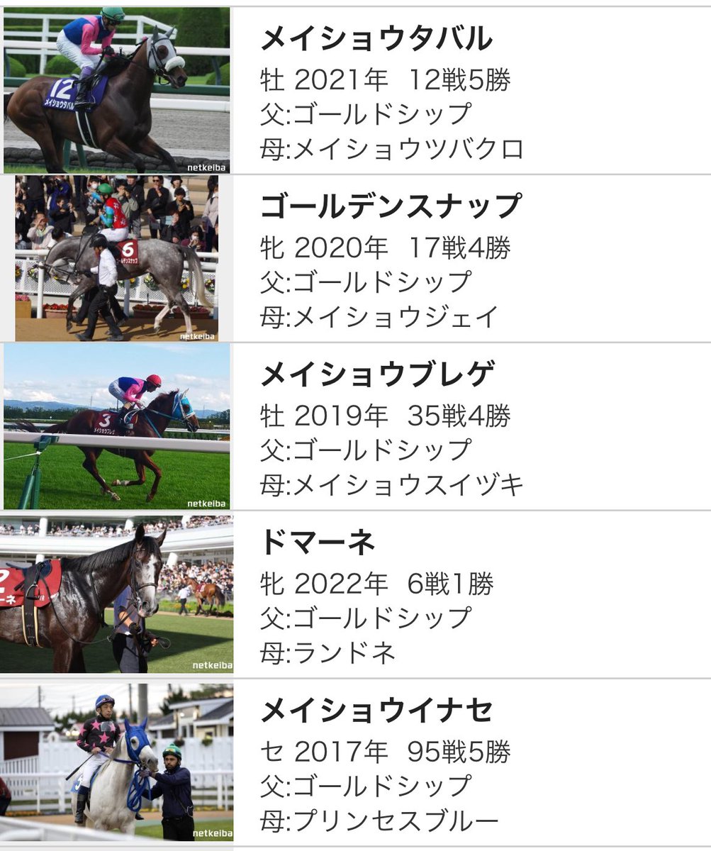 Perry】競馬 ゴールドシップ B2ポスター 皐月賞 2024皐月賞ポスター