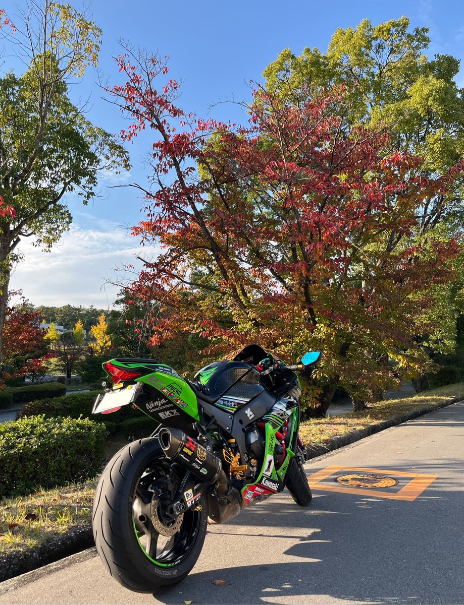 とこまっくす💚-Level.52- on X