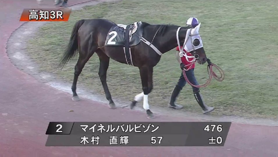 跳ね馬  跳ね馬 跳ね馬 ZX DAMPER 詳細情報|RACING GEAR｜オンラインオートサロン